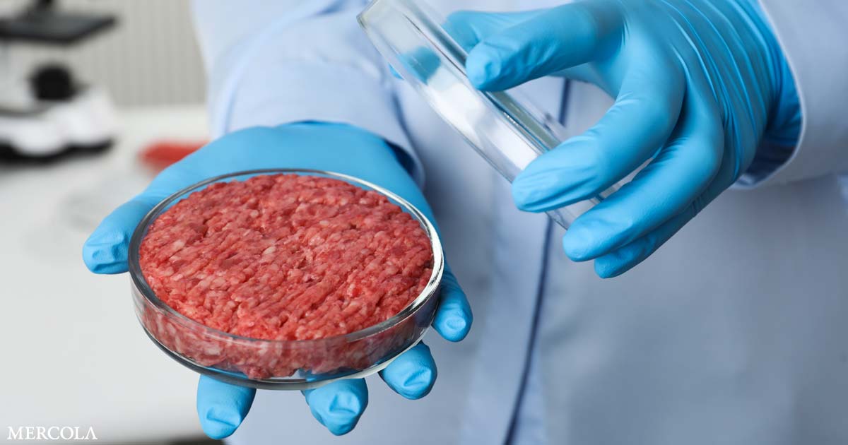 Lab-Grown Meat Is 25 Times Worse for the Environment