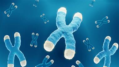 the telomere scam