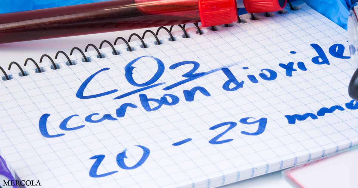 The Biology of Carbon Dioxide