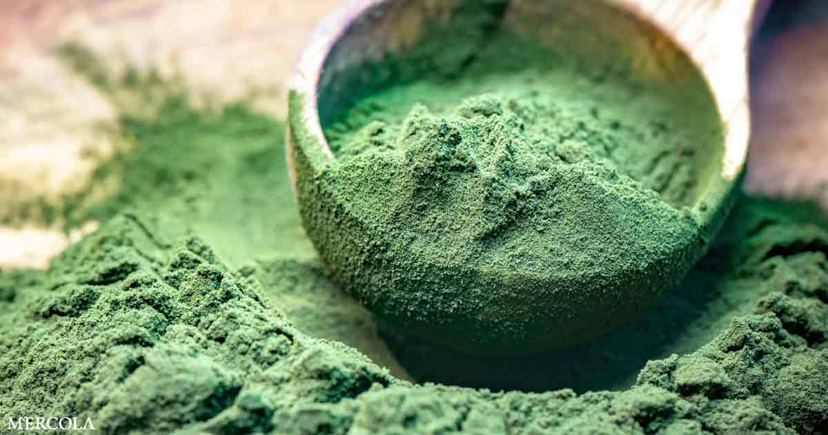 14 Health Benefits of Spirulina Powder