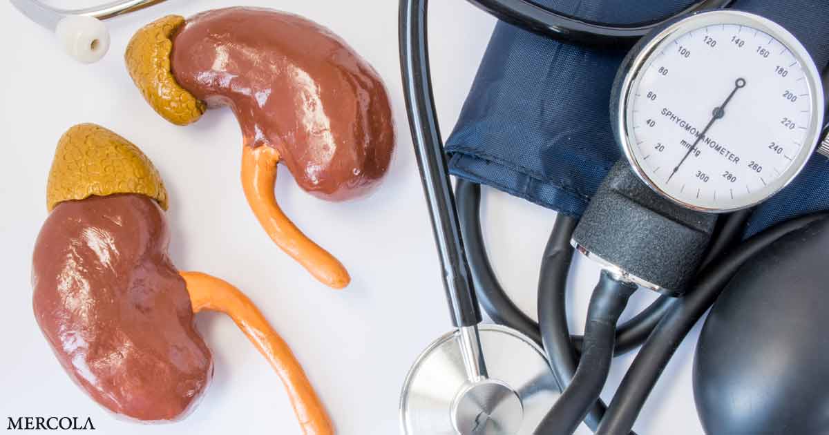 How Your Kidneys Influence Blood Pressure