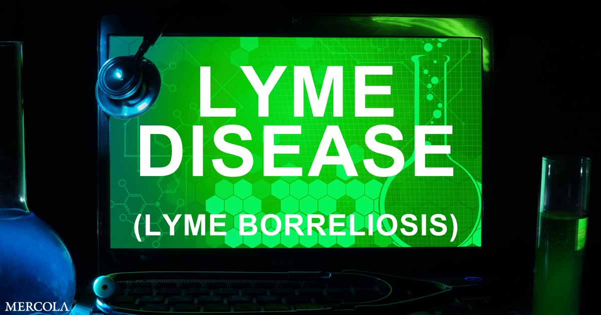 Lumbrokinase for Lyme?