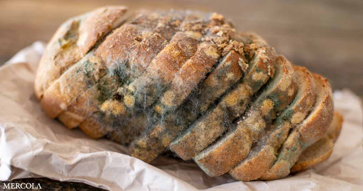 Here’s Why You Don’t Ever Want to Eat Moldy Bread