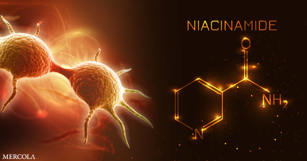 Niacinamide Enhances Natural Killer Cells to Beat Carcinomas