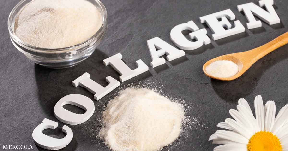 Why Collagen Is a Proven Necessity