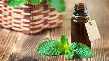 inhaling menthol cognitive function