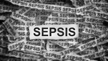 sepsis death rate