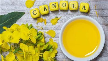 canola oil health effects