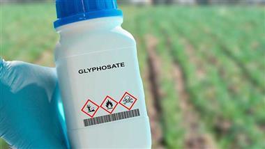 glyphosate exposure fatty liver disease