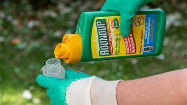 glyphosate roundup linked to multiple cancers