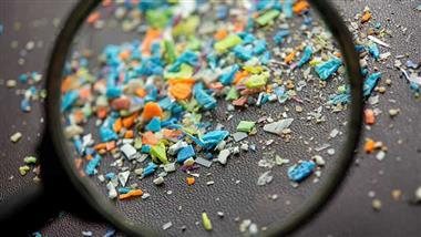 microplastics liver mitochondria damage