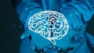 neurorehabilitation head injury