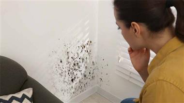 black mold allergies
