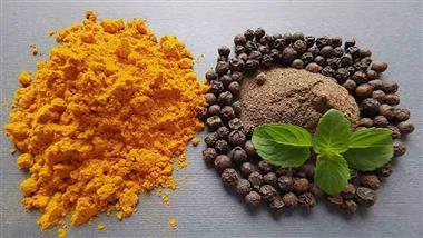 curcumin piperine combination sepsis