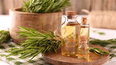 essential oils guide