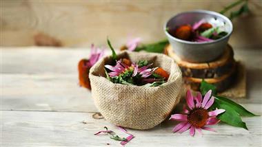 natural herbs for flu