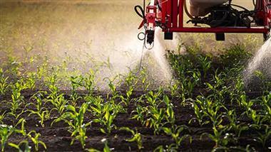 how pesticides disrupt gut health