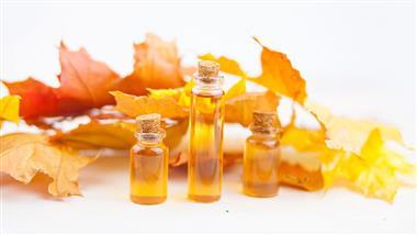 maple epicatechin gallate tooth decay