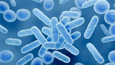 probiotics better sleep and mood thumb