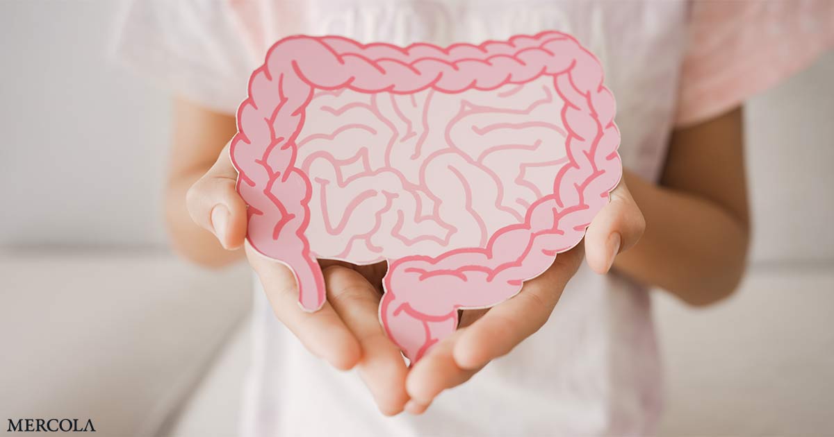 How Your Gut Signals Fullness — and What Happens When That System Breaks Down