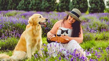 better pet parent tips dog cat care