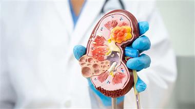 medications that damage kidneys