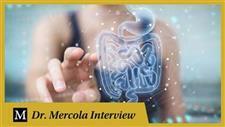 How Your Microbiome Influences Your Immune System