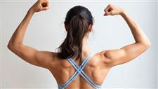 krill oil muscle energy