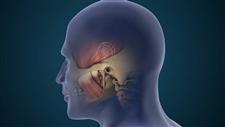 temporomandibular joint tmj pain butyrate