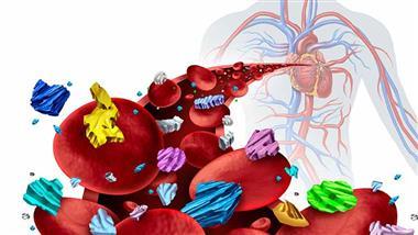 microplastics oxidative stress food nutrients