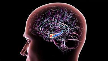 nad reverses alzheimers progression