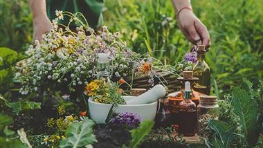 power of dmso and botanical combinations
