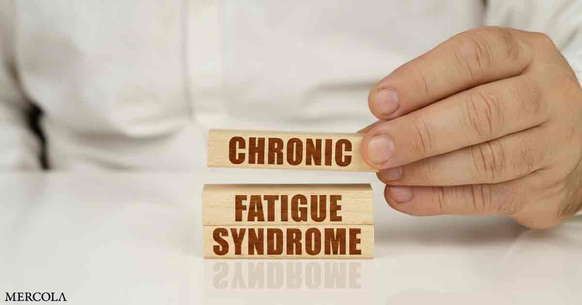Chronic Fatigue Syndrome Linked to Energy Metabolism and Immune Dysfunction