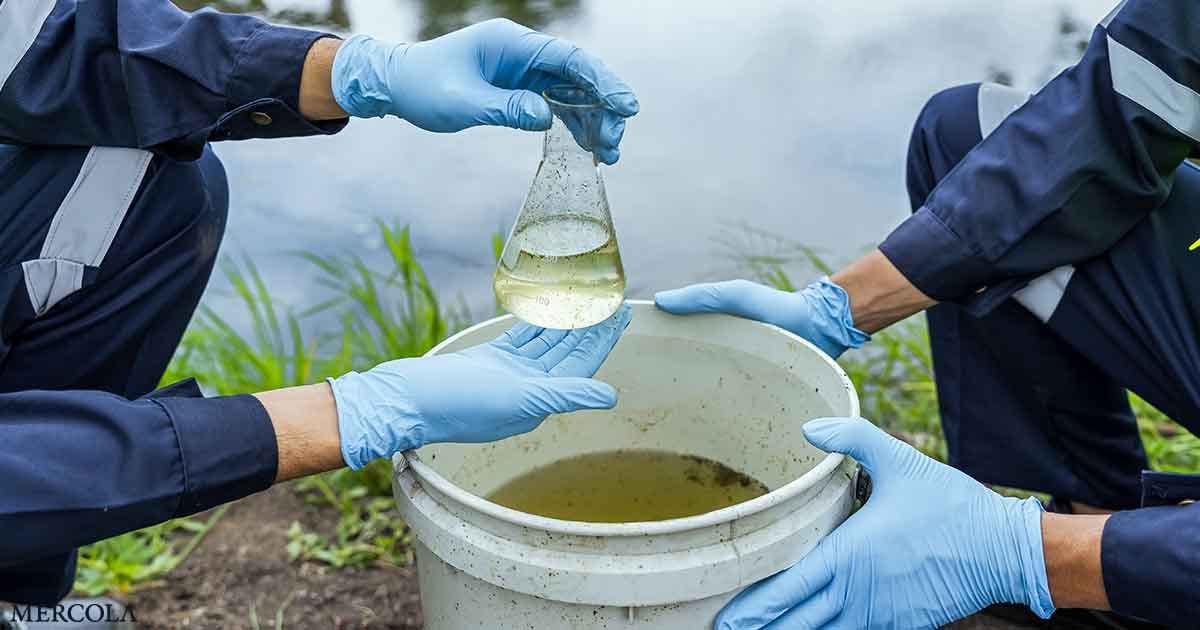 Treated Wastewater Can Pass on Antibiotic Resistance to Fresh Produce