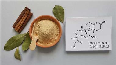 ashwagandha lowers cortisol stress recovery