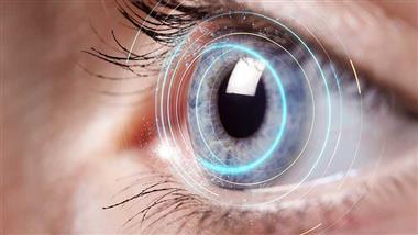 cardiovascular risk score predicts vision loss