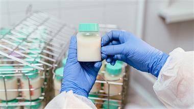 chemicals in breast milk