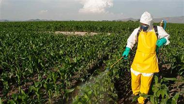 chlorpyrifos parkinsons disease risk