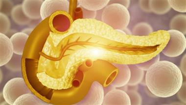 hidden fat pancreas abdomen brain aging