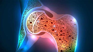 serotonin osteoporosis