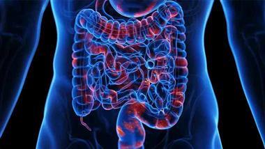 chemicals food water gut microbiome antibiotic resistance