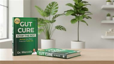 gut cure