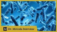 What Is Akkermansia � A Keystone Microbe in Your Gut (An Interview with Dr. Colleen Cutcliffe)
