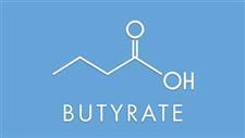 Understanding Butyrate � The Key to Optimal Health and Well-Being