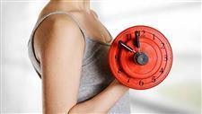 muscle clock circadian rhythm