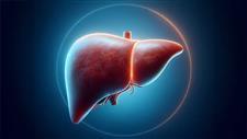 liver healing timeline after quitting alcohol