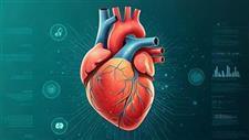 Rethinking Cardiovascular Disease Treatment Methods