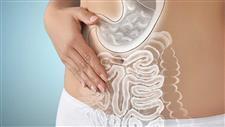 dmso heals gut gastrointestinal diseases