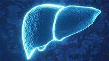 How Molecular Hydrogen Fights Inflammation and Reverses Fatty Liver Disease