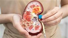 chronic kidney disease heart health